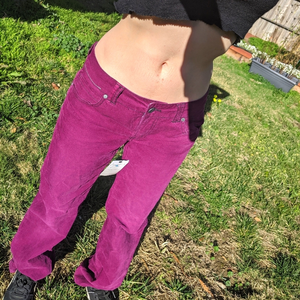 fuchsia cordoroy pants